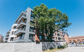 Garden Old Town With Free Parking And Garden